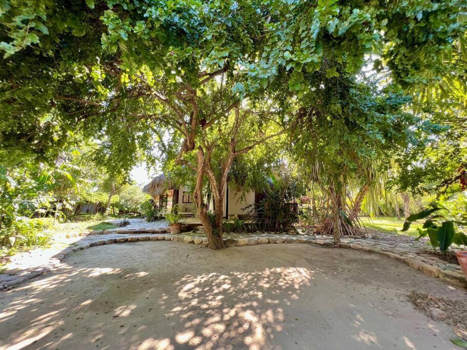 푸에르토 에스콘디도 Casa Kuul, Elegant Fusion Of House And Garden. 빌라 외부 사진